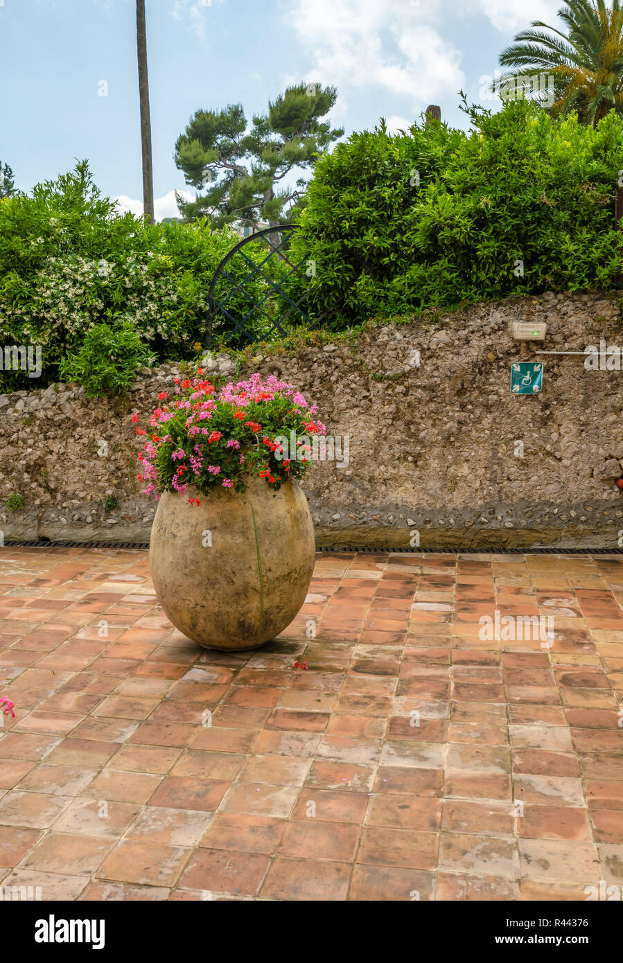 Angolo giardino a Grasse, Francia meridionale, famosa per la sua industria di profumo Foto Stock