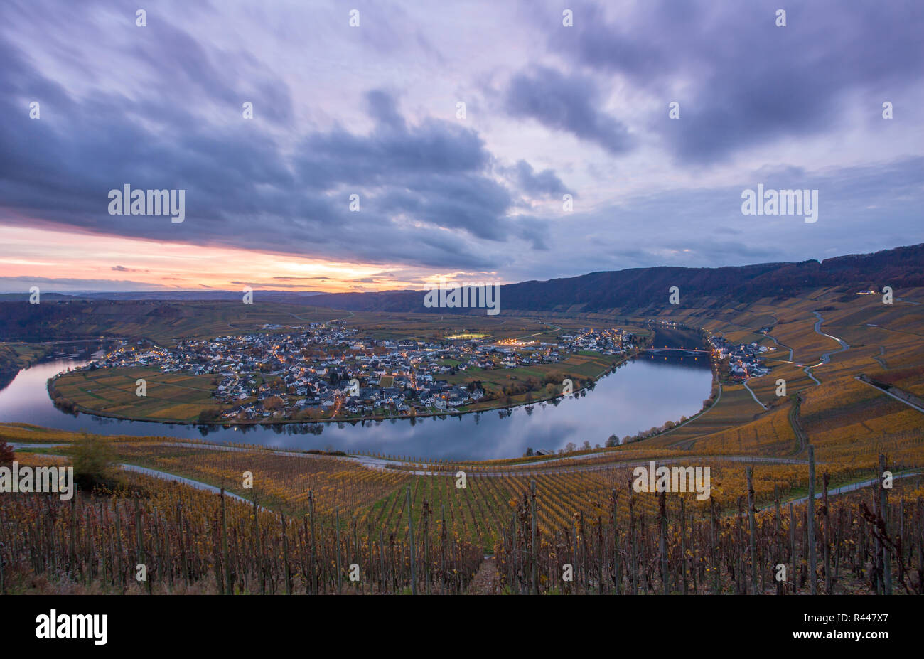 Moselle e vigneti e piesport villaggio in autunno dorato al tramonto Foto Stock