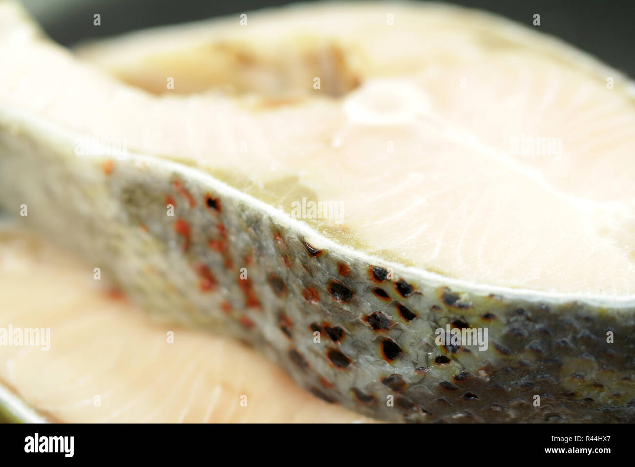 Bistecca di salmone dal Salmo salar Foto Stock