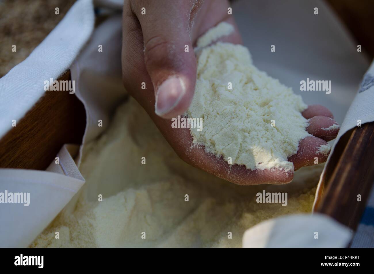 Una mano di un ragazzo riempito con farina di grano duro. Al di sotto di una scatola di legno riempita con farina. Lungo il bordo, un panno bianco può essere visto emergenti dalla farina Foto Stock