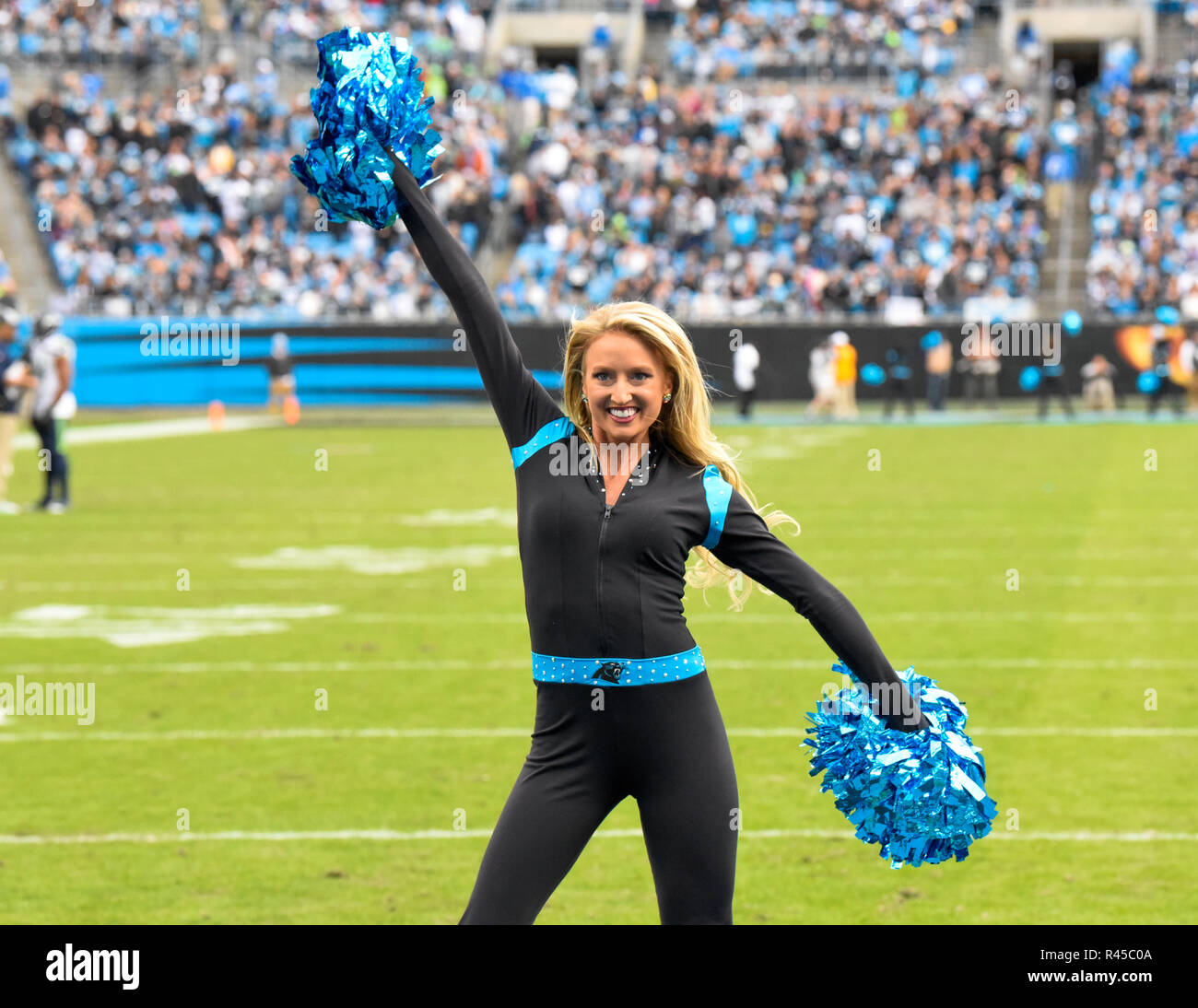Charlotte, North Carolina, Stati Uniti d'America. 25 Nov, 2018. Carolina Panthers Top Cats Cheerleader danze durante una partita contro i Seattle Seahawks il 25 novembre 2018 presso la Bank of America Stadium di Charlotte, NC. Credit: Ed Clemente/ZUMA filo/Alamy Live News Foto Stock