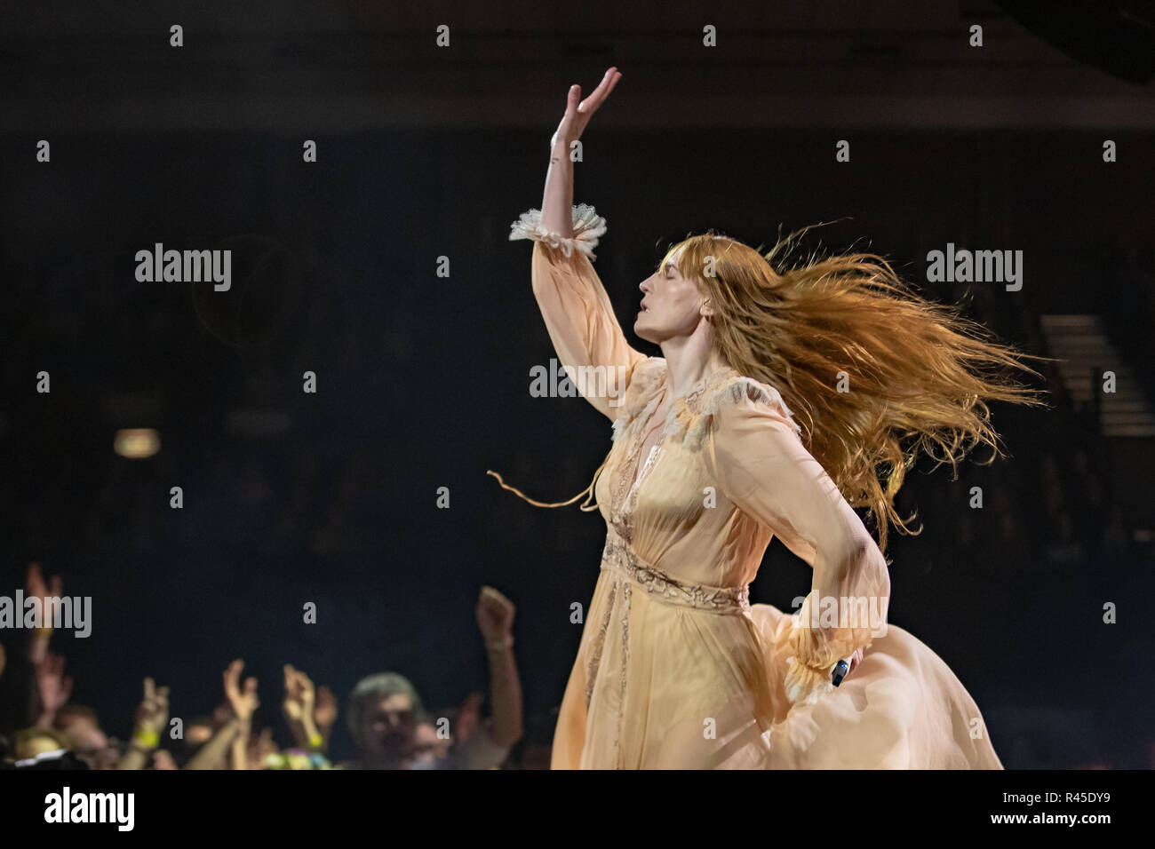 Brighton, Inghilterra. 25 novembre 2018, Firenze Welch di Firenze e la macchina esegue durante la 'alta come speranza' UK tour presso il Centro di Brighton, Inghilterra.© Jason Richardson / Alamy Live News Foto Stock