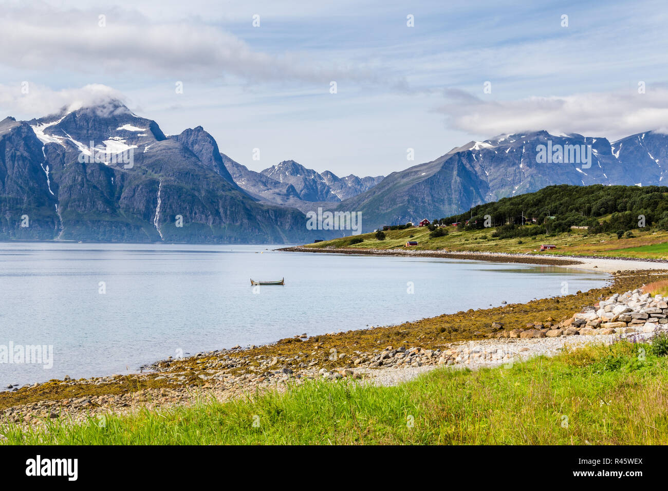 Tipico paesaggio scandinavo con purple loosestrife lungo un lago e di un ghiacciaio in background Foto Stock