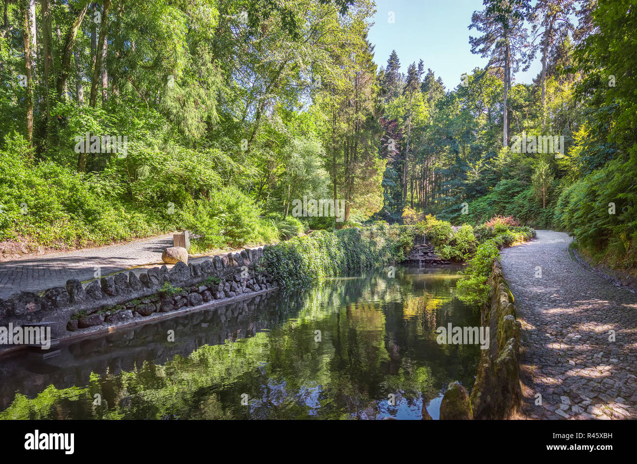 Stagno in la pena park a Sintra. Portogallo Foto Stock