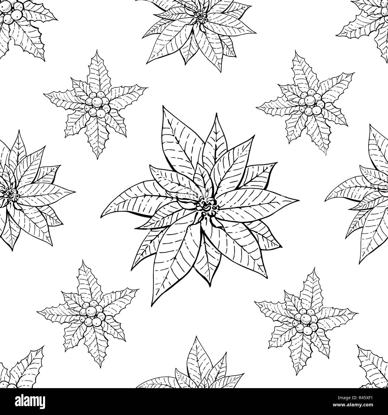Modello senza soluzione di continuità con i tradizionali homeplant poinsettia e holly impianto. Infinite texture con fiore usate in ambienti interni. Vettore illustrazione monocromatica. Illustrazione Vettoriale