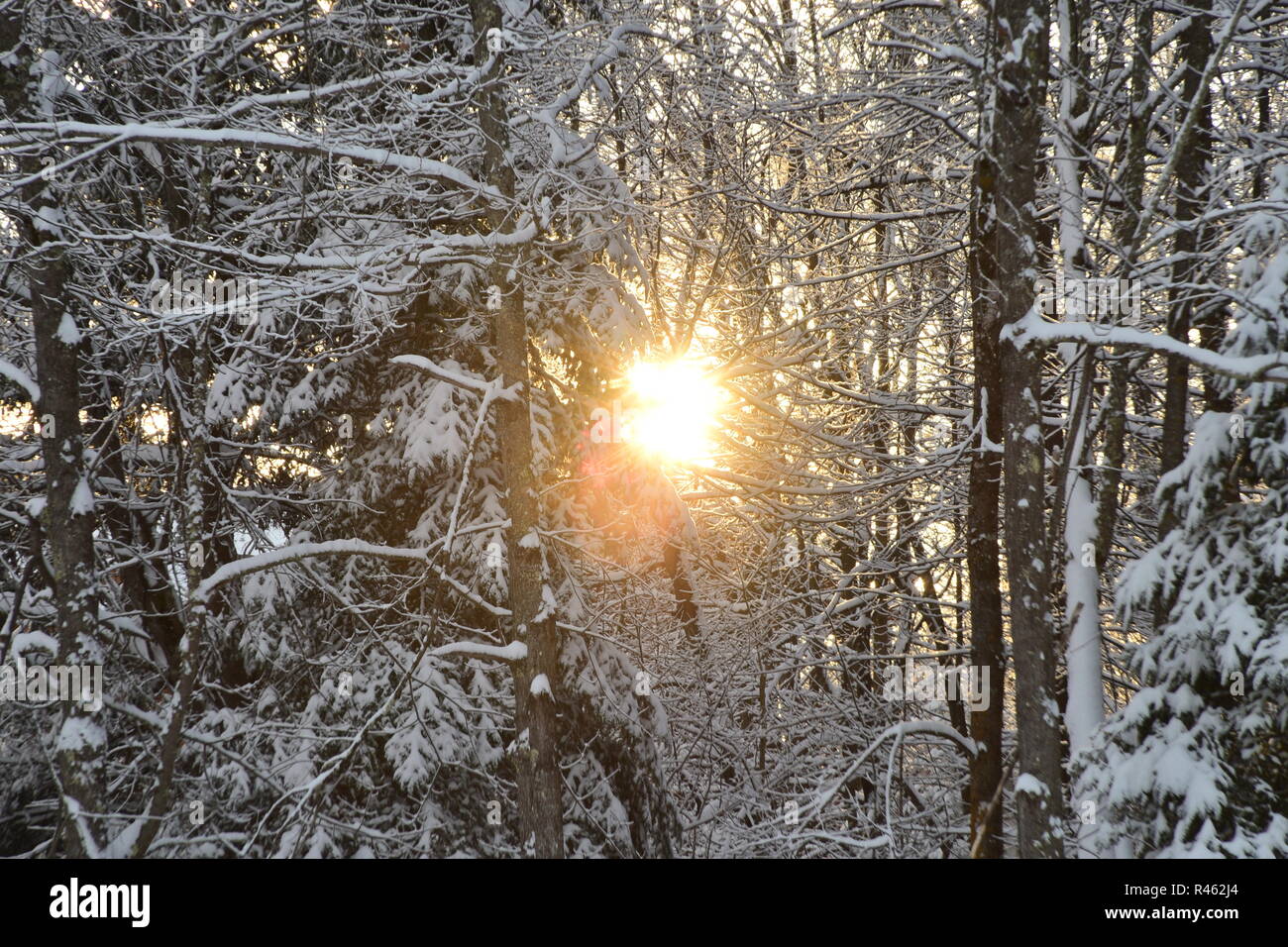 Snowy Northern Minnesota Tramonto Foto Stock