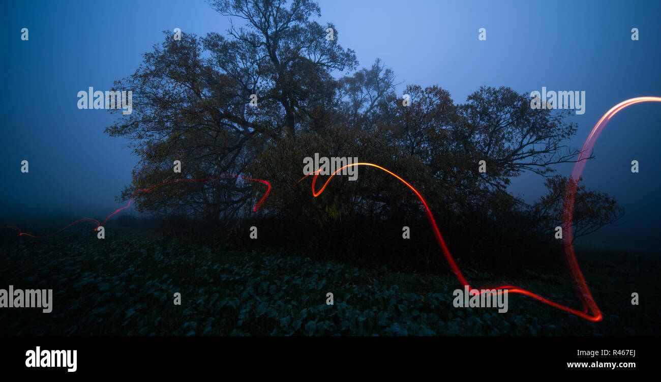 La pittura di luce con lampada tascabile in modalità Paesaggio notturno. lunga esposizione luminosa delle luci di notte di pittura natura paesaggio. La pittura di luce al campo Foto Stock