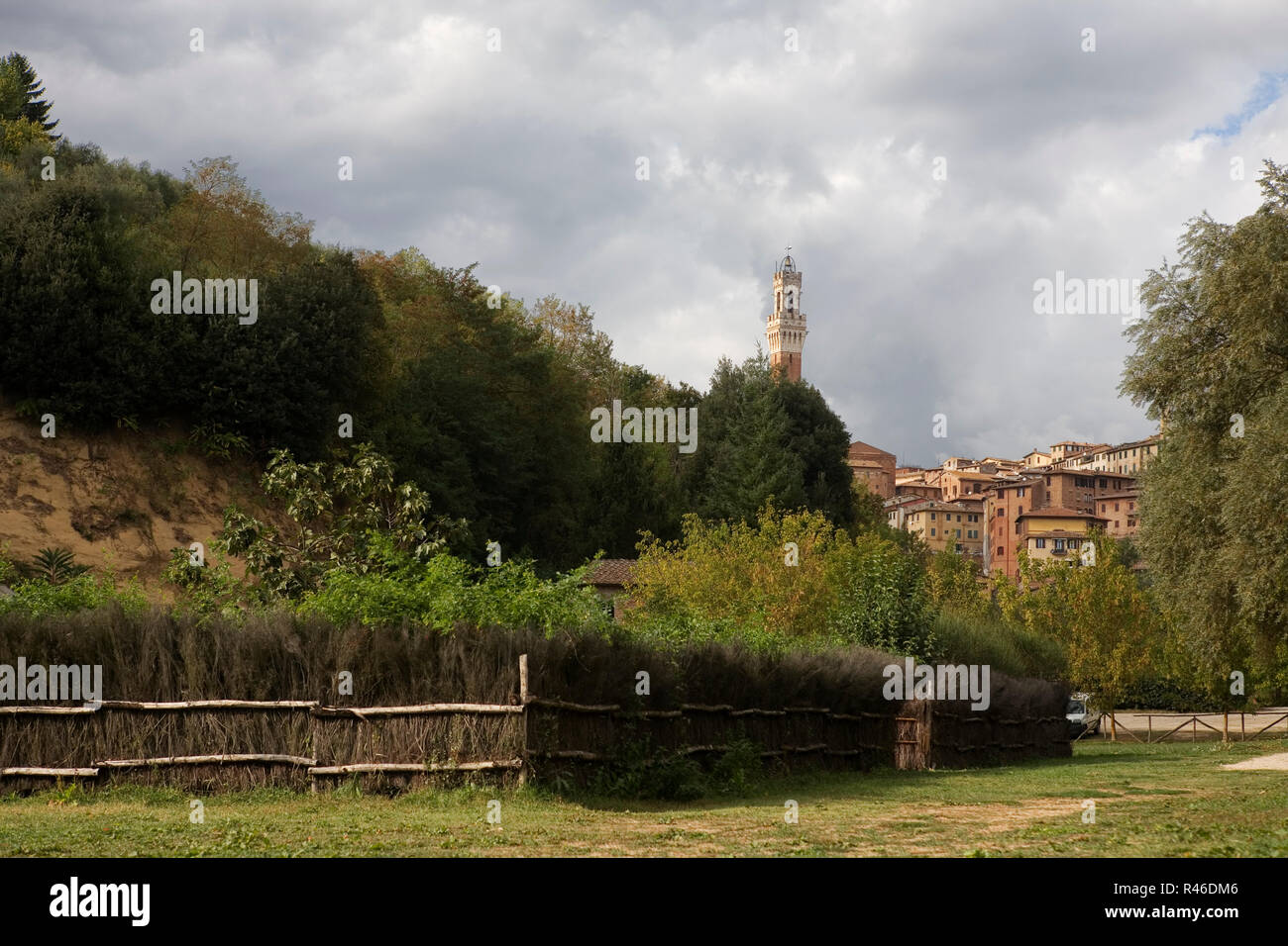 La Torre del Mangia, dal Giardino Medievale, Orto de' Pecci, una comunità-run giardino nel centro di Siena, Toscana, Italia Foto Stock