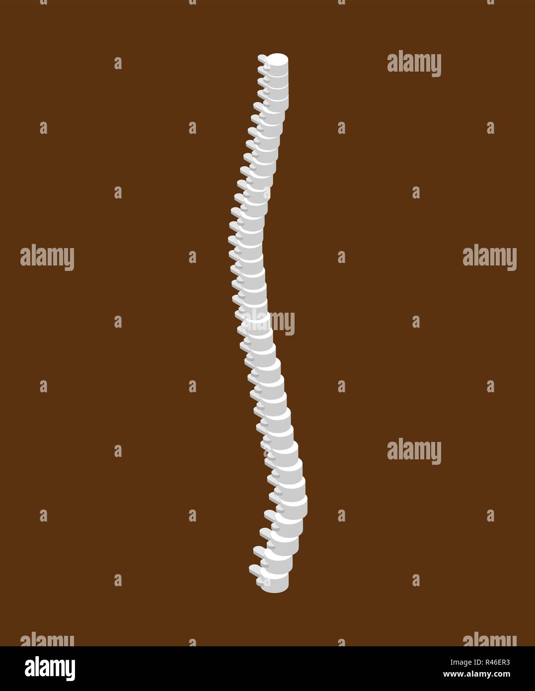 Isometrica spinale isolato. 3D ossa. Un osso umano system Illustrazione Vettoriale