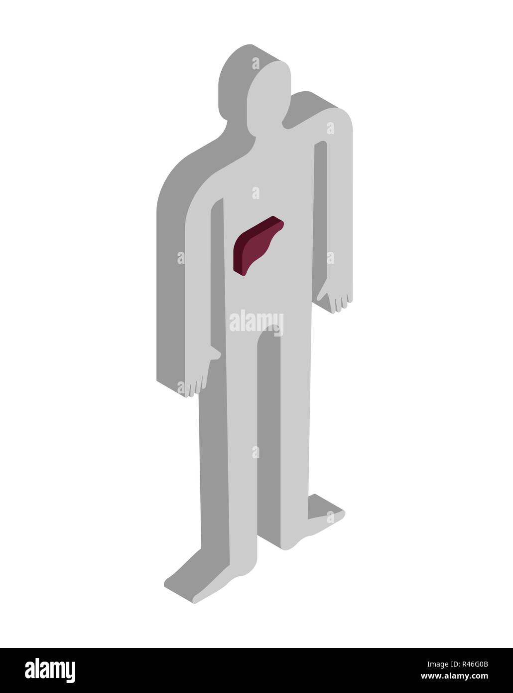 Isometrica del fegato anatomia del corpo umano. Organi interni 3D. sistemi di organi corpo Illustrazione Vettoriale