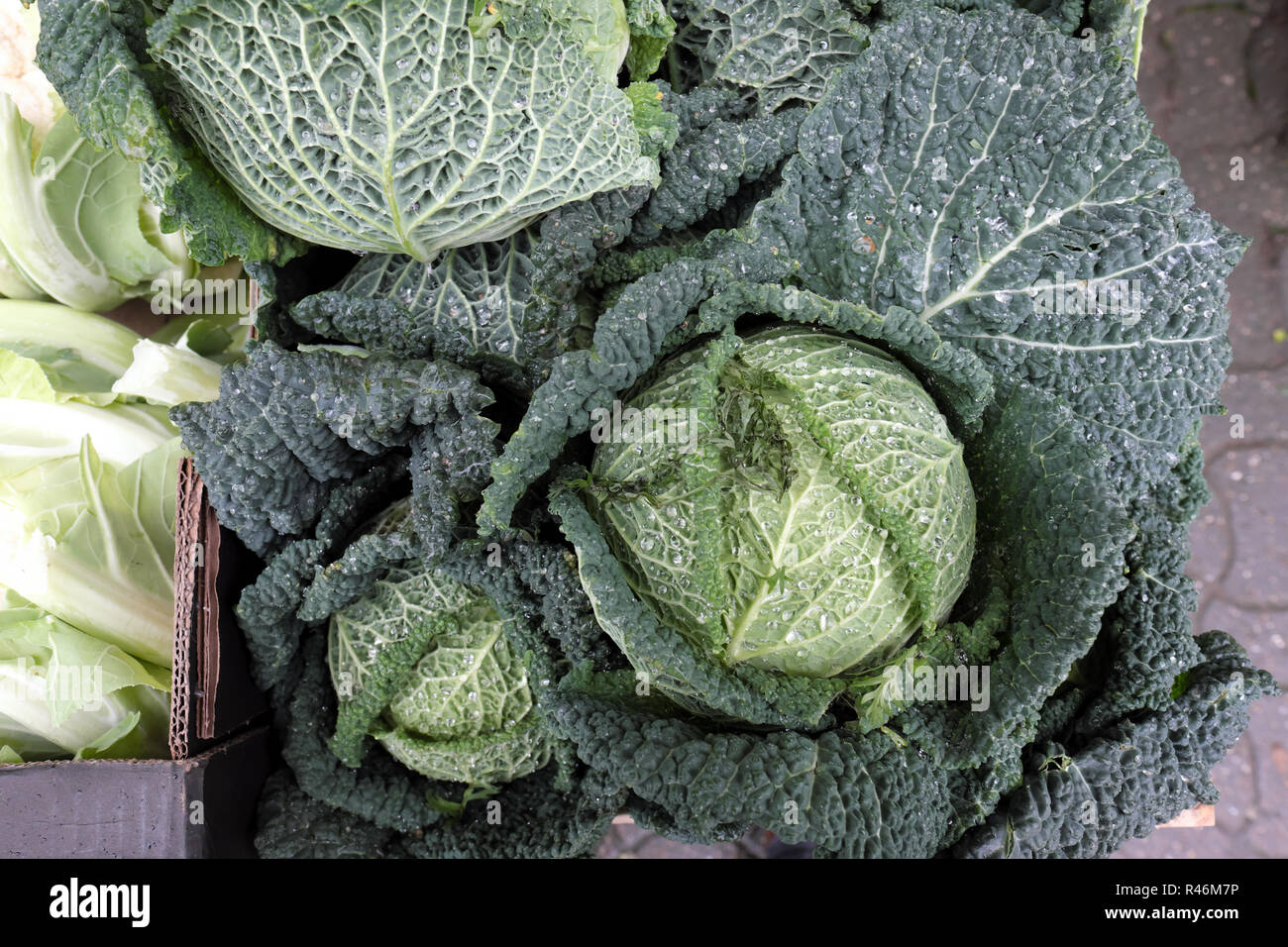 Cavolo verza per la vendita al mercato in stallo nel novembre del Regno Unito Foto Stock