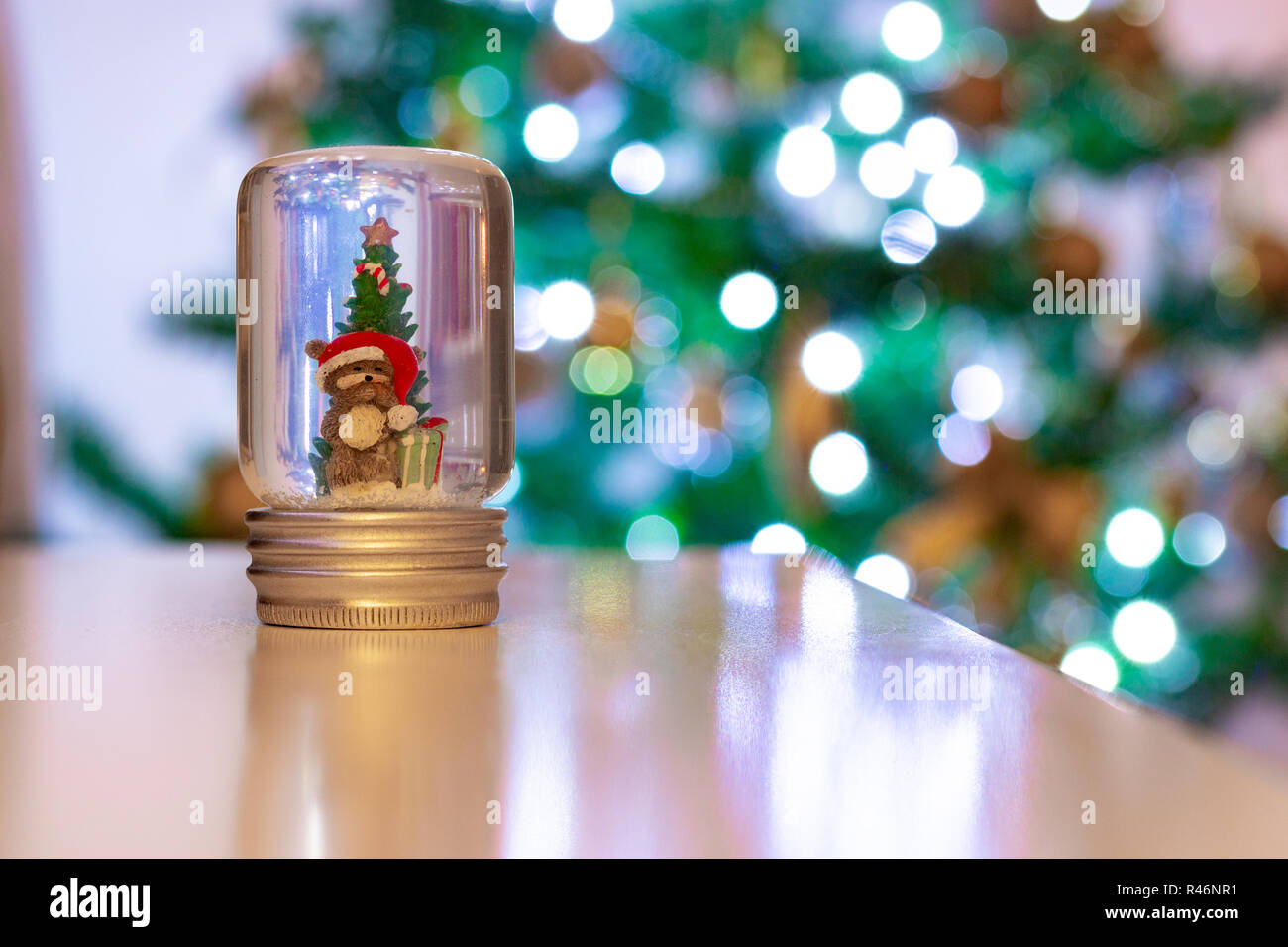 Un orso in un globo di neve nella parte anteriore di un defocalizzata albero di Natale. Scena festiva Foto Stock