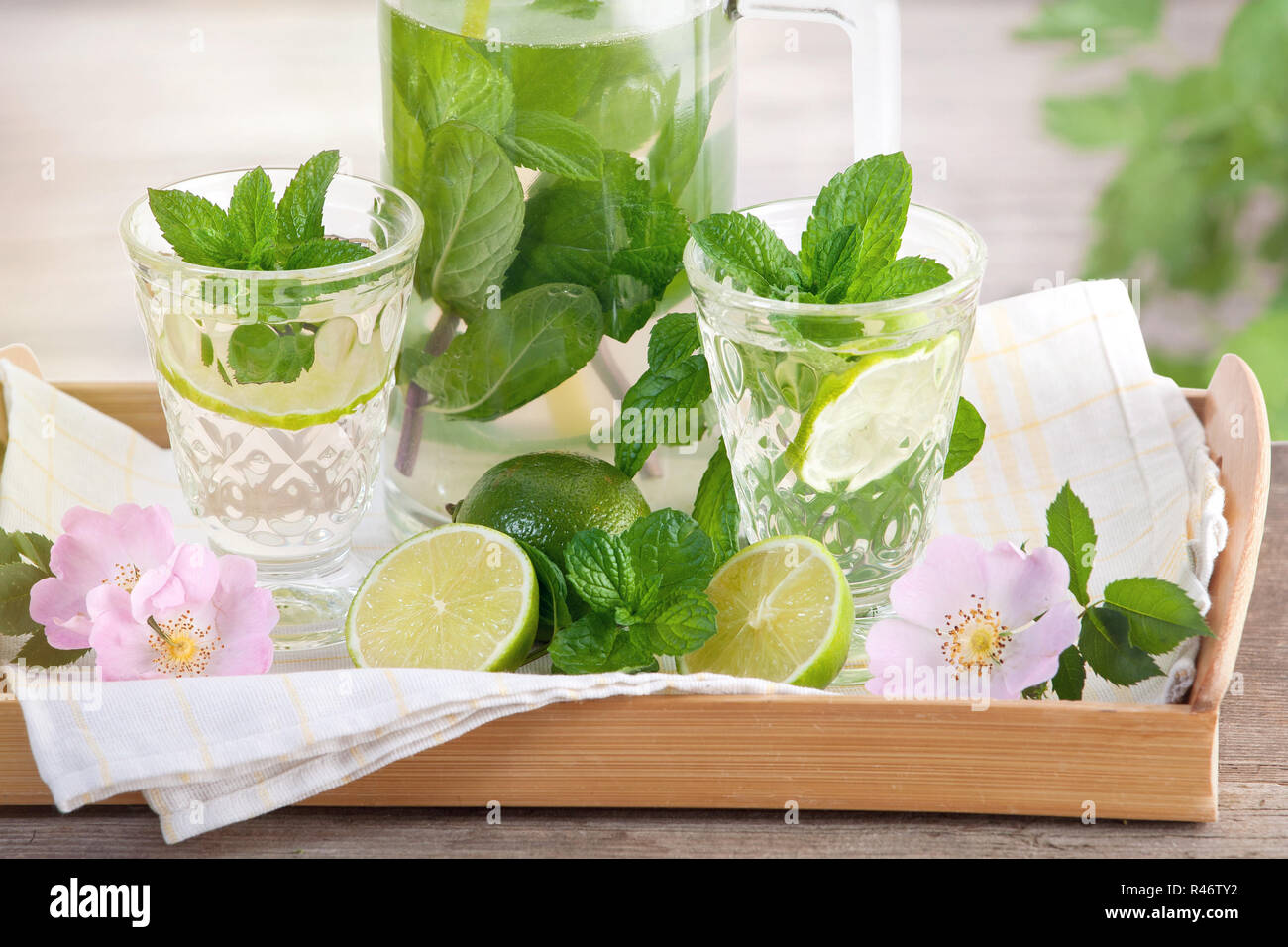 Servire limonata alle erbe con la menta Foto Stock