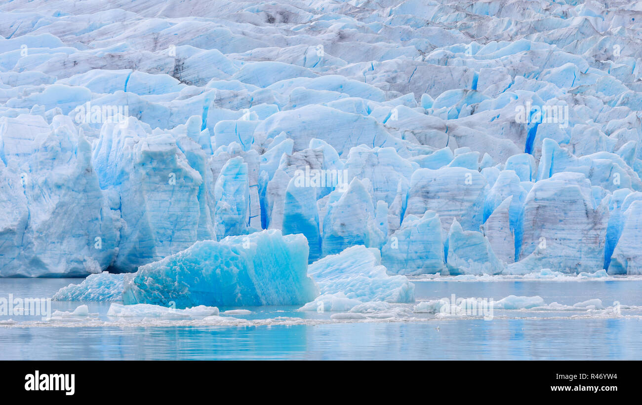 Campo di ghiaccio del ghiacciaio Grey, Torres del Paine, Patagonia, Cile Foto Stock