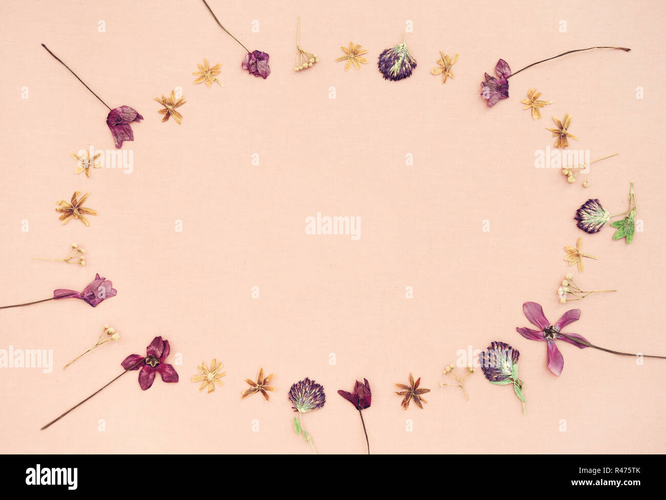 Cornice ovale fatta di essiccati fiori selvatici, sul rosa pastello sullo sfondo di tela. Foto Stock