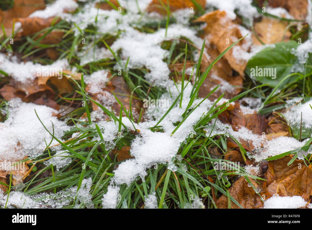 Neve di fusione sull'erba Foto Stock
