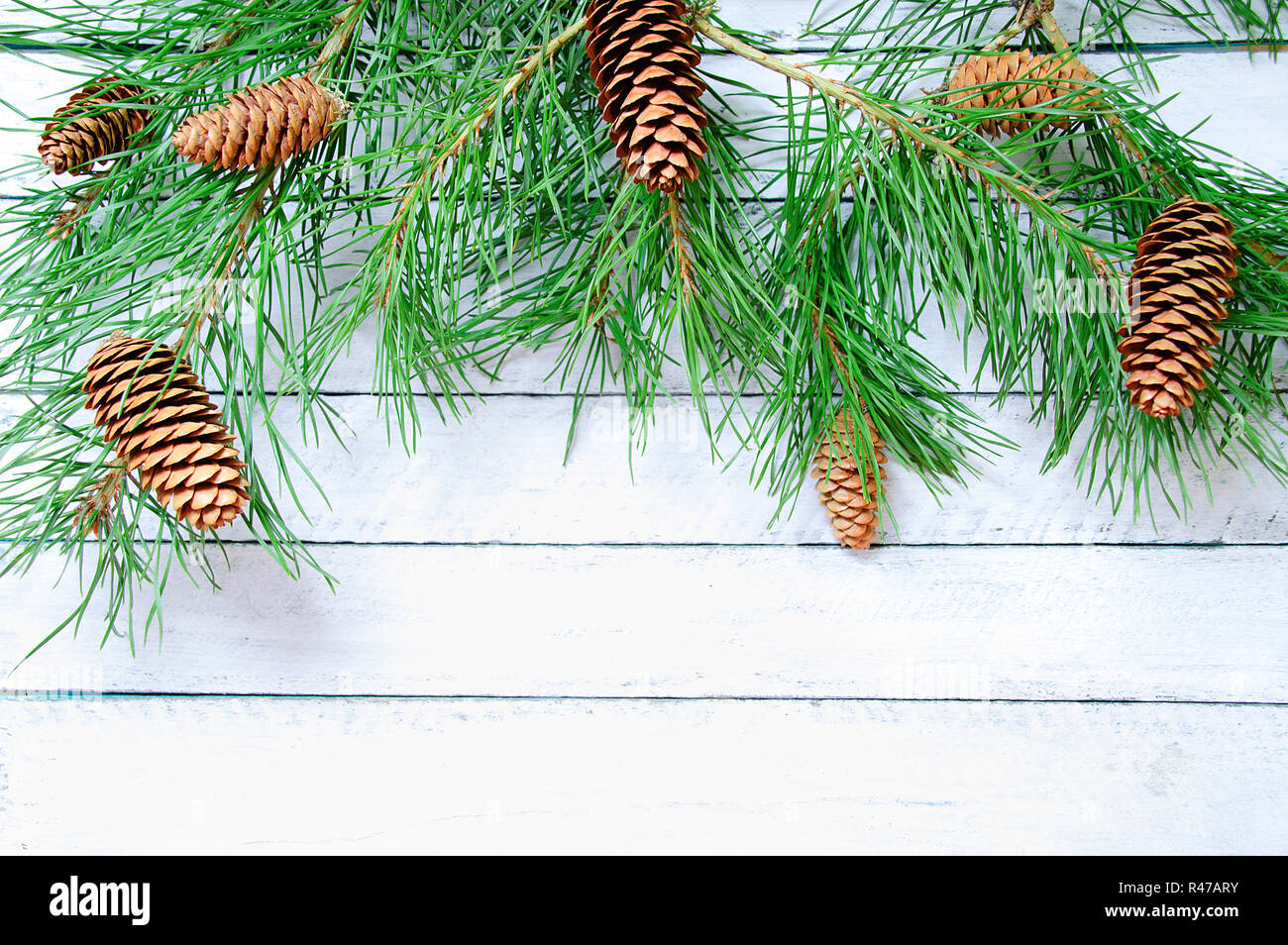 Albero di Natale con i coni. Bianco sullo sfondo di legno. Foto Stock