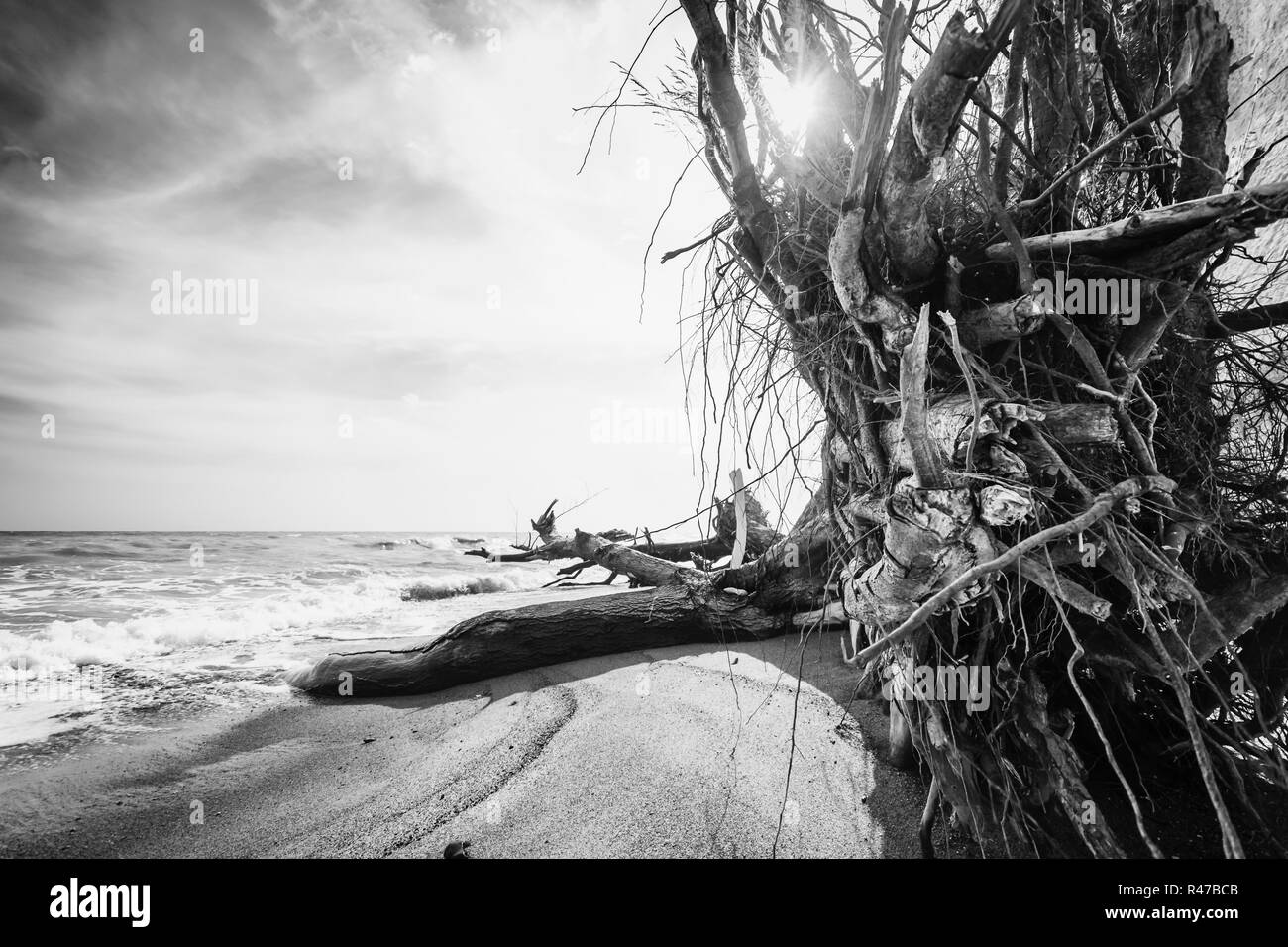 Orizzonte di collassamento Foto Stock