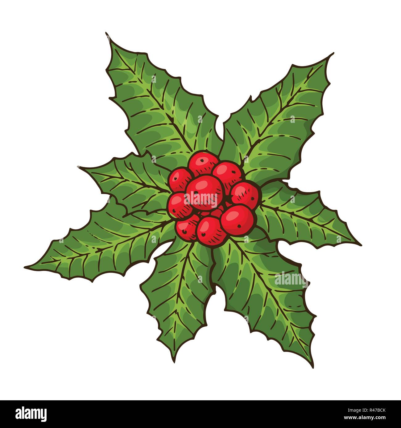 Il Natale di vischio con bacche rosse e le foglie verdi. Simbolo del Natale. Elemento di design per la decorazione di Natale. Isolato su sfondo bianco. Illustrazione Vettoriale