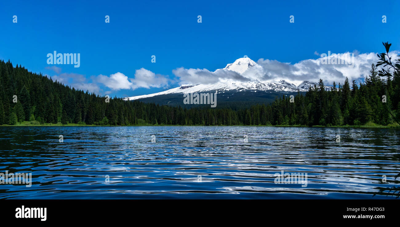 Scenario paesaggistico di Trillium lago e monte Cofano in una giornata di sole, inizio estate o tarda primavera, Oregon, Stati Uniti d'America. Foto Stock