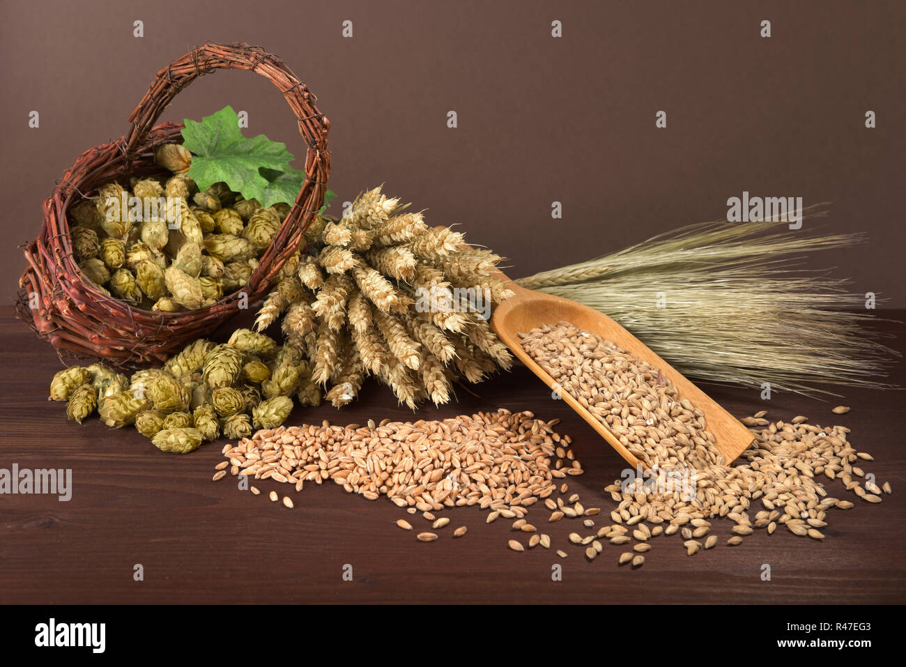 Gli ingredienti della birra Foto Stock