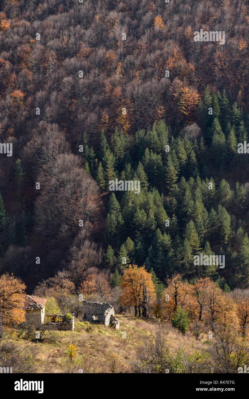 Rovine di abbandonate case di pietra in una montagna sui Balcani contro lo sfondo della foresta di autunno Foto Stock