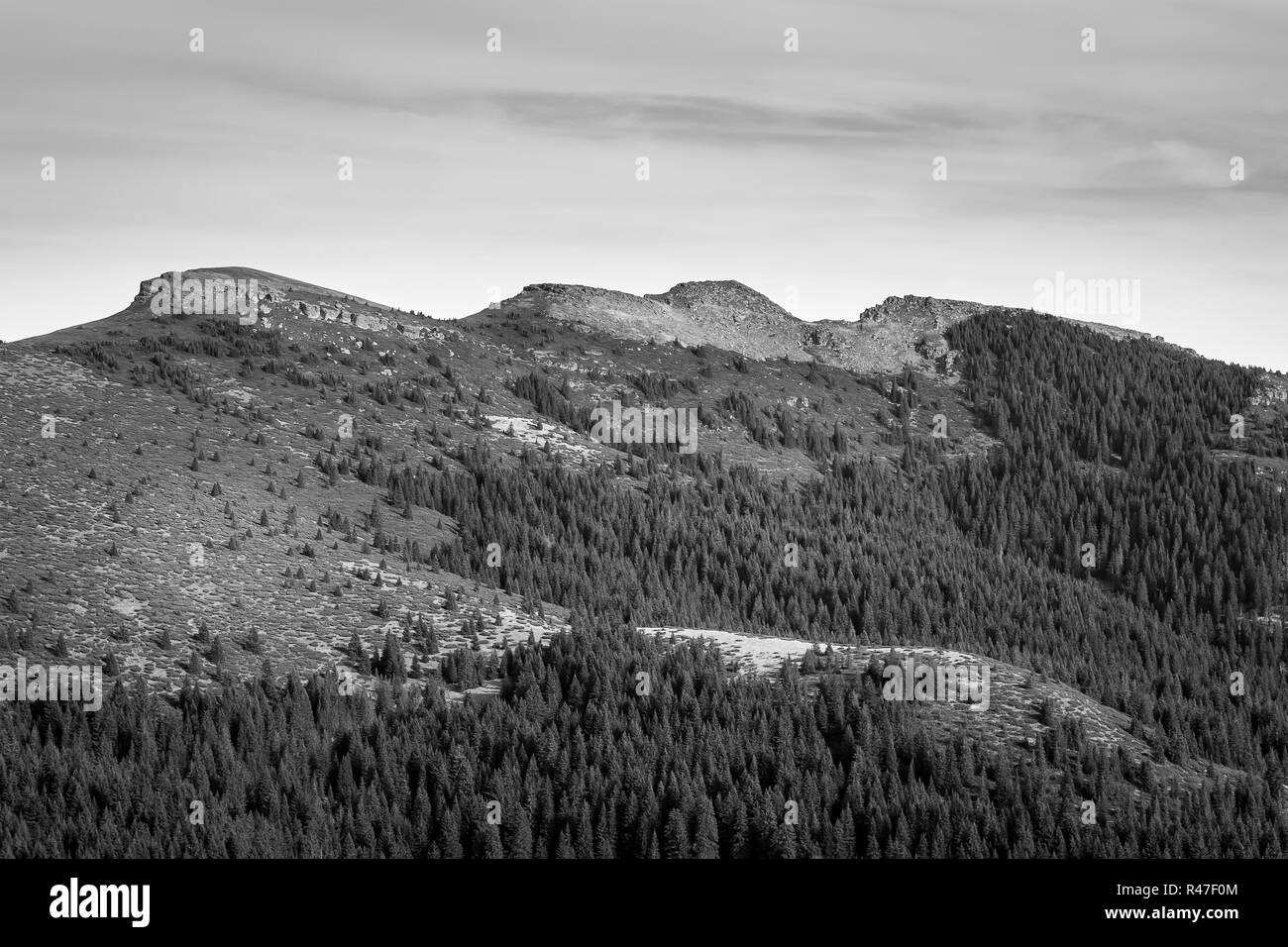 Artistico in bianco e nero vista del summit tre colline sulla vecchia montagna in Serbia e la foresta di alberi di pino Foto Stock