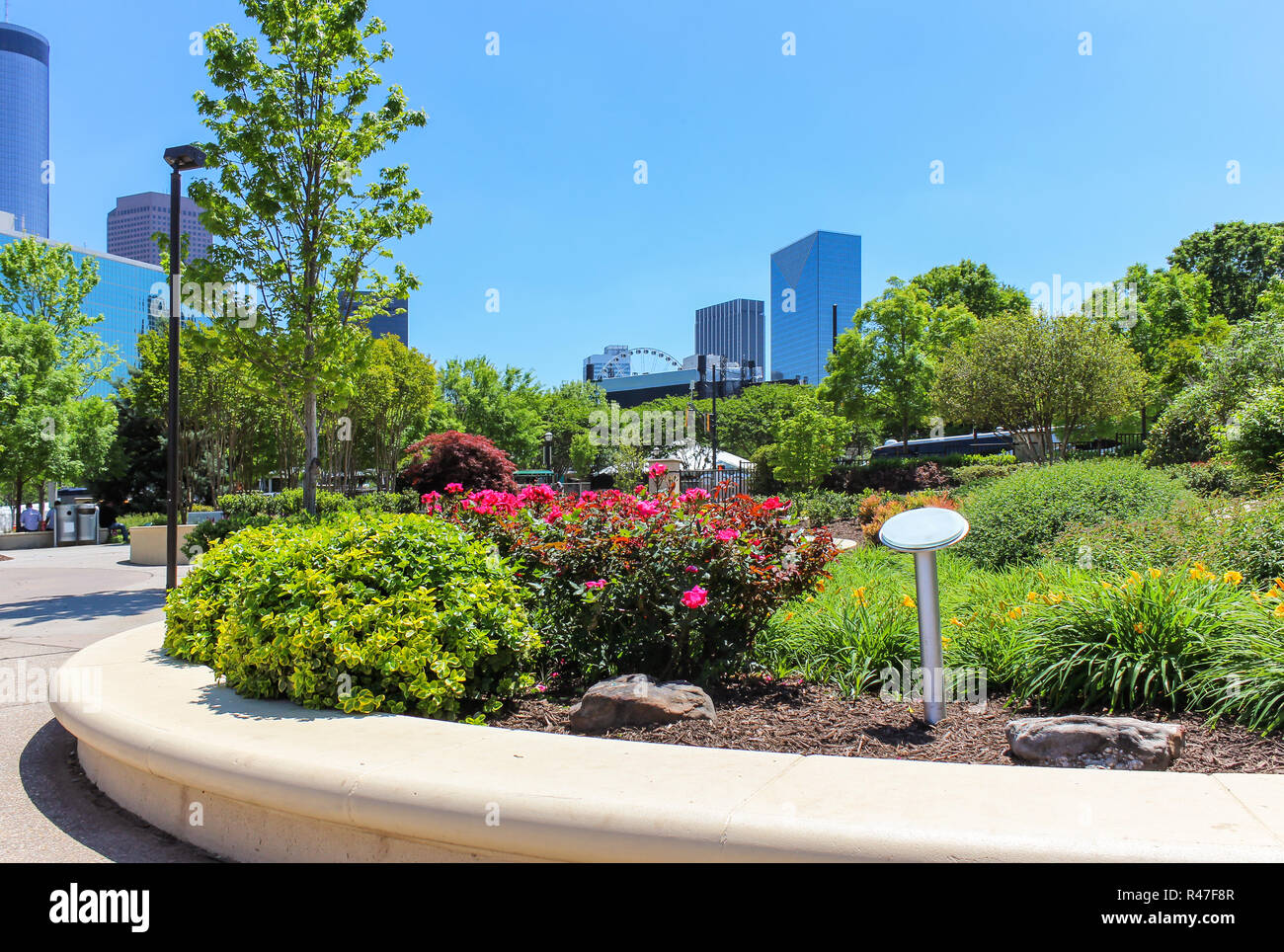 La splendida vista dal parco cittadino con in primo piano i fiori e gli alberi sulla skyline di Atlanta Foto Stock