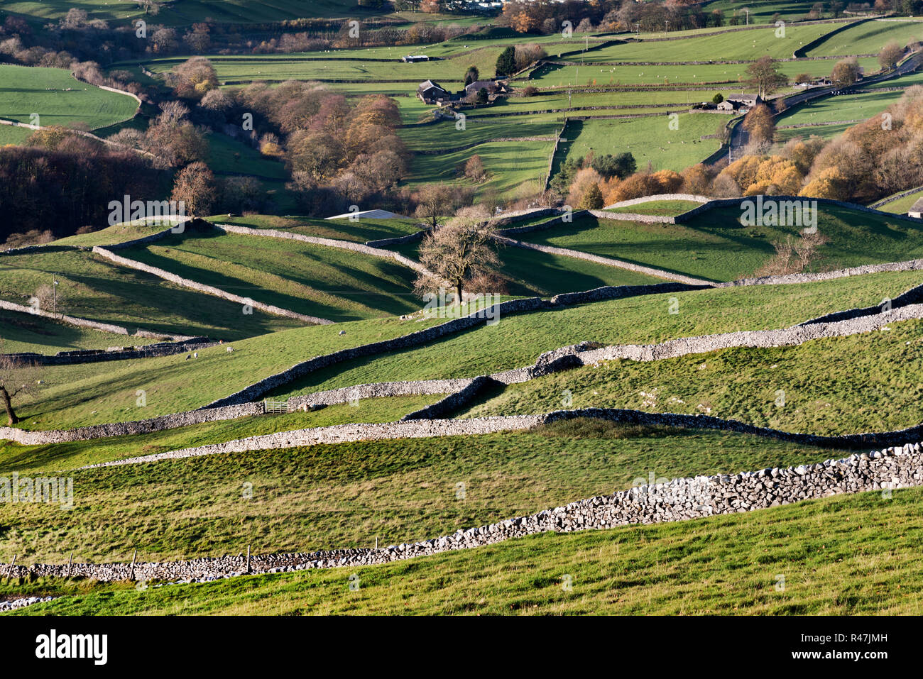 Un modello di campi racchiusi dalle tradizionali muri in pietra a secco, Langcliffe, vicino a Settle, Yorkshire Dales National Park, Regno Unito Foto Stock