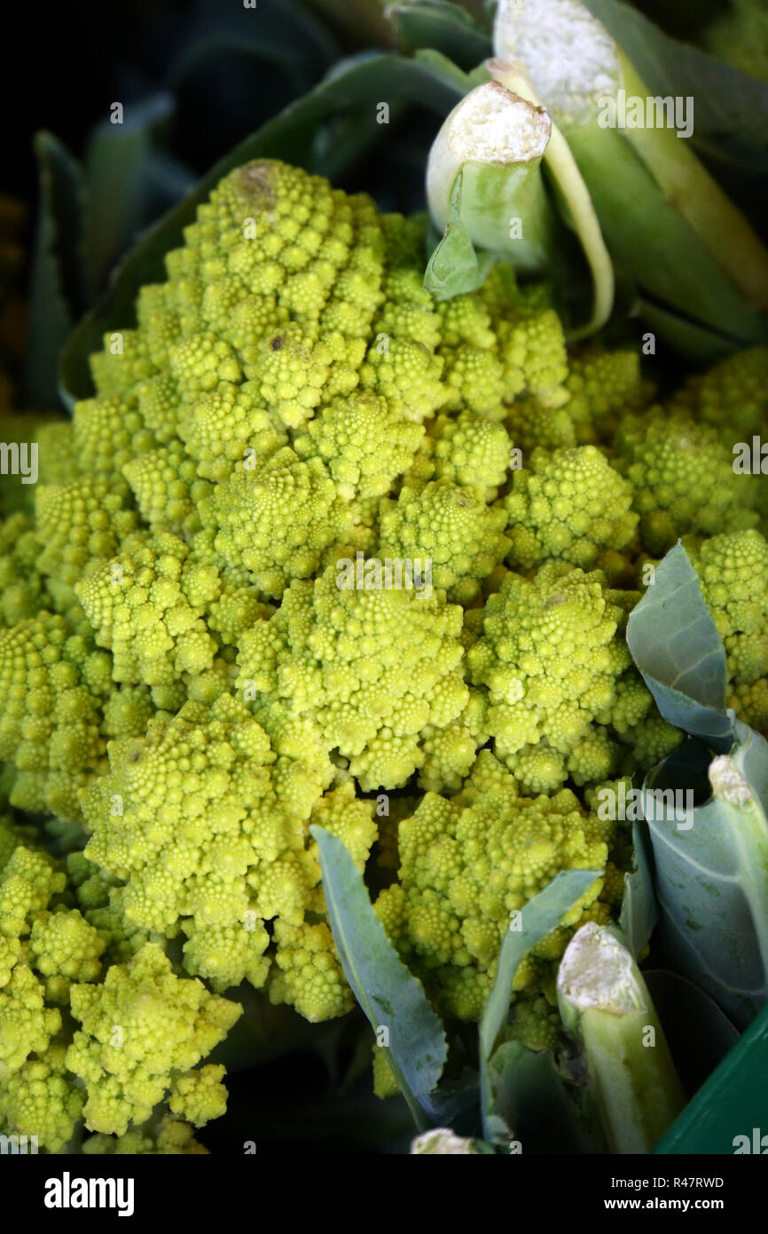 Il tedesco la verdura al mercato - cavolfiore romanesco Foto Stock