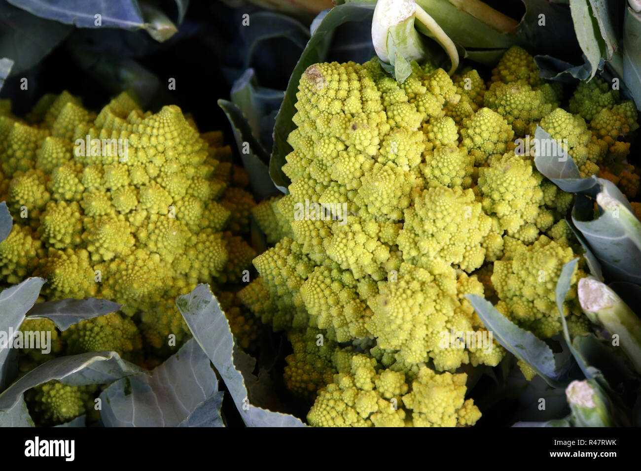 Il tedesco la verdura al mercato - cavolfiore romanesco Foto Stock