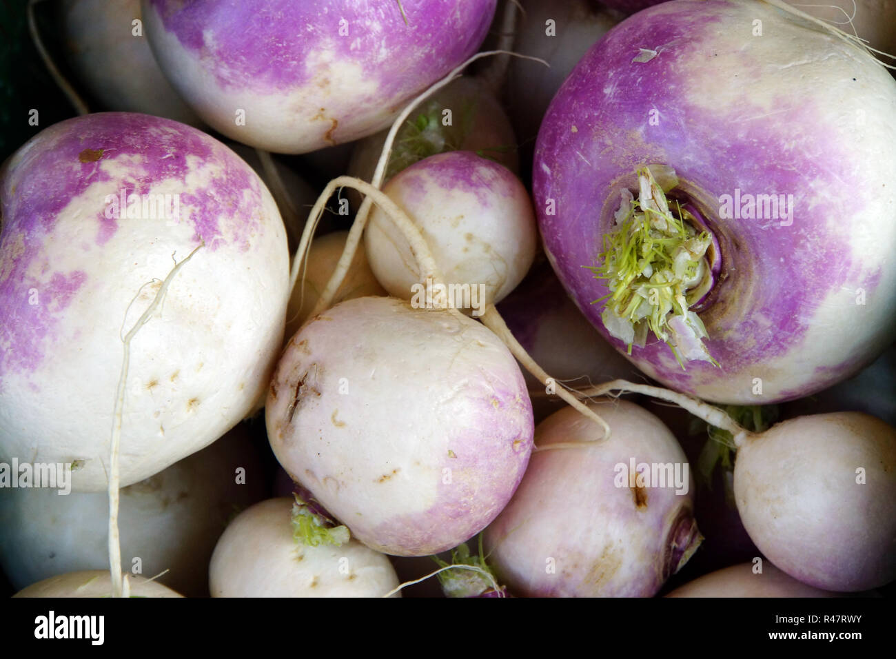 Il tedesco la verdura al mercato - navoni Foto Stock