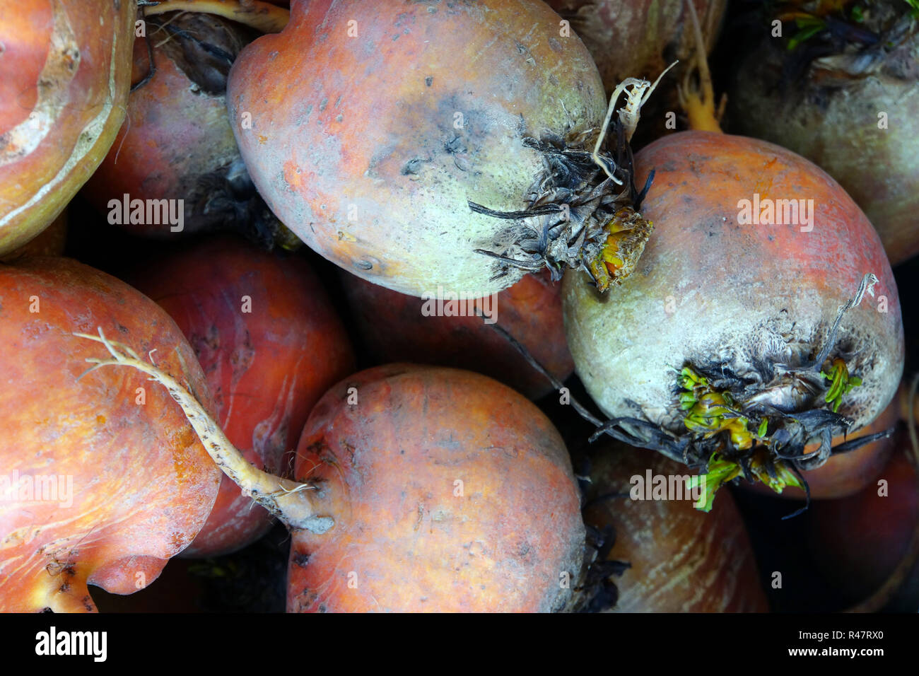 Il tedesco la verdura al mercato - giallo di patch Foto Stock
