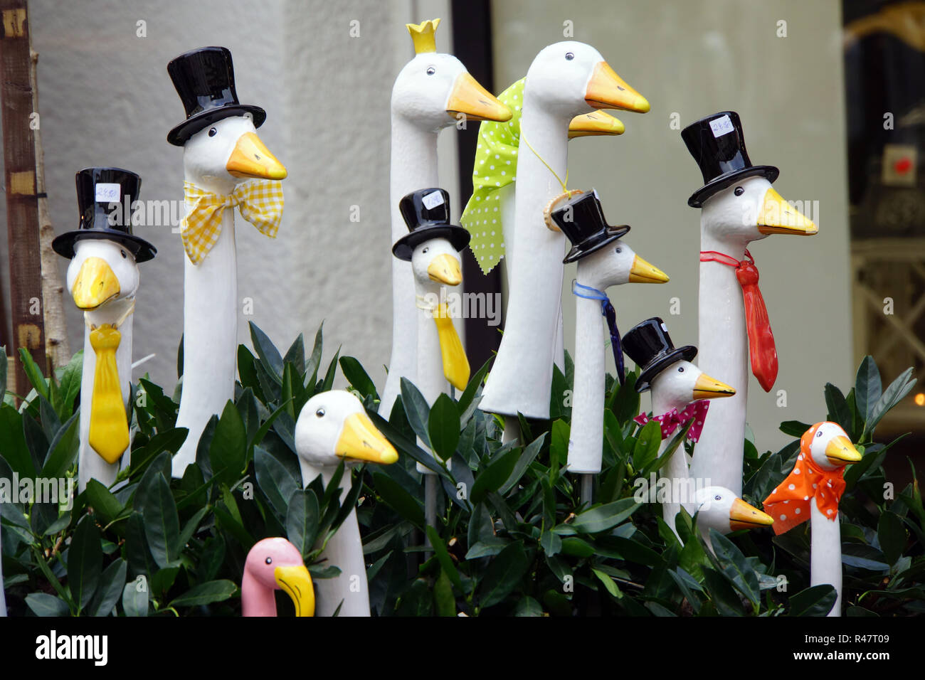 Le oche sul mercato di natale Foto Stock