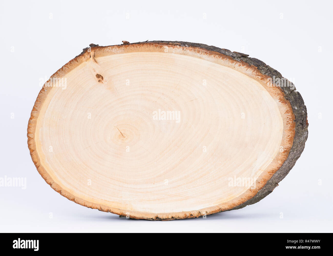 Holzscheibe Foto Stock
