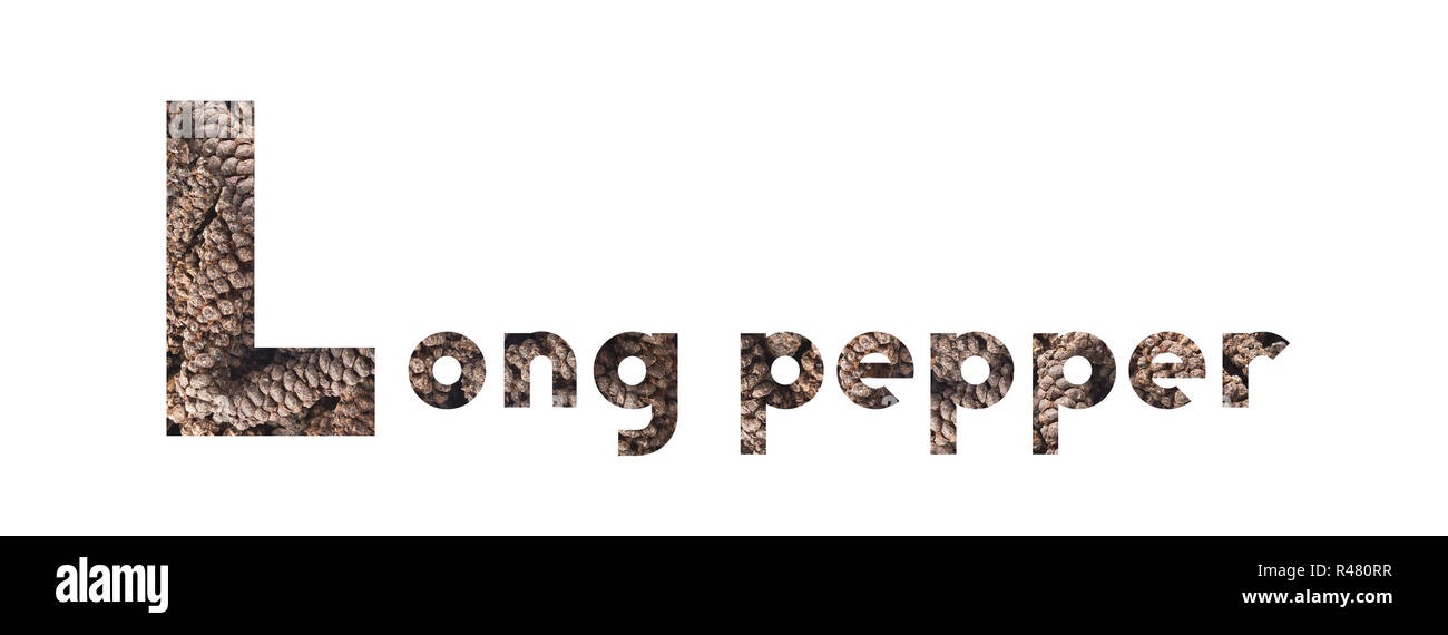 La parola a lungo con peperoncino essiccato indiano Pepe lungo isolato su bianco Foto Stock