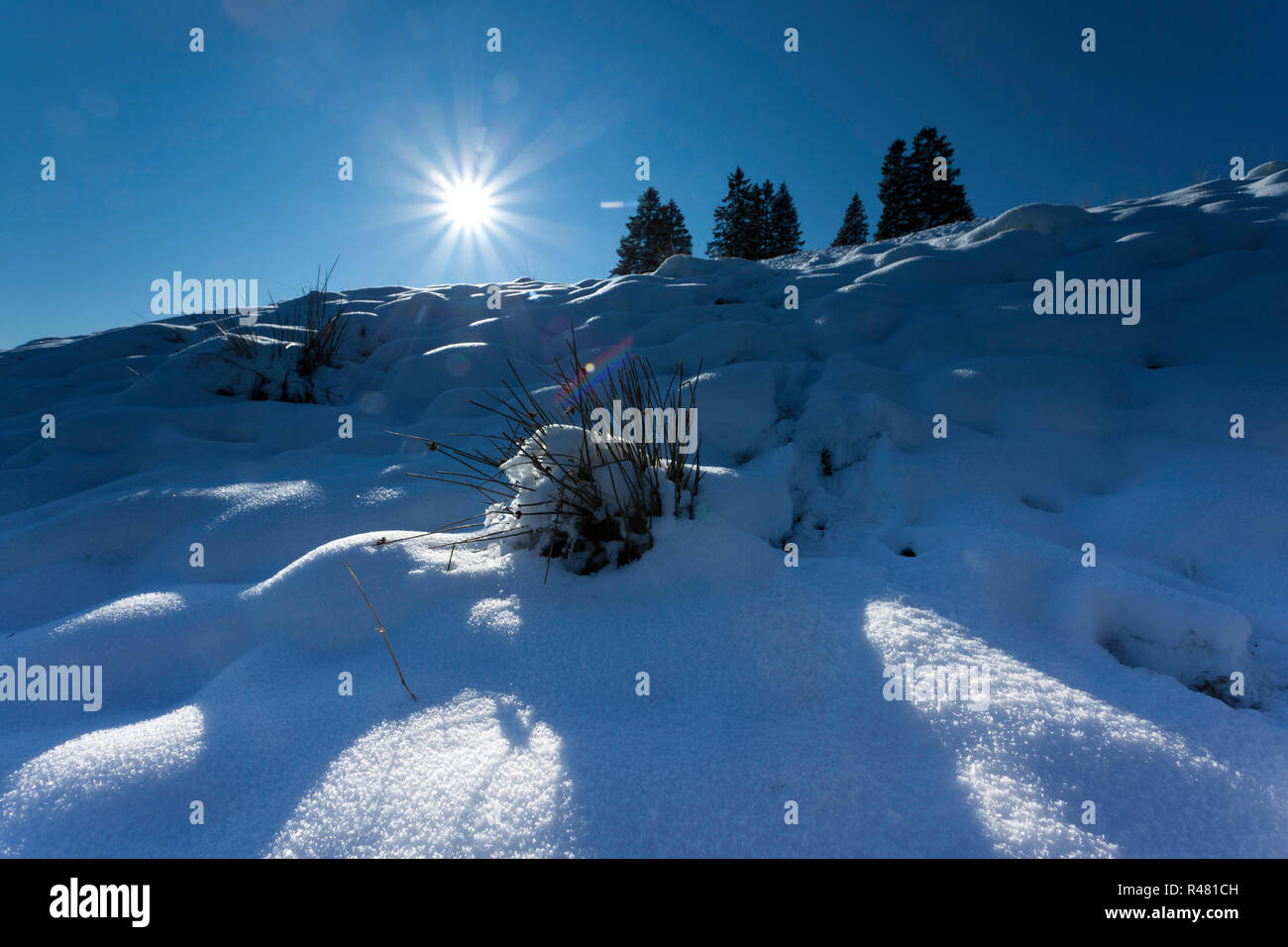 Autunno in Svizzera alpi nella nebbia con sun sdurchbrechender Foto Stock