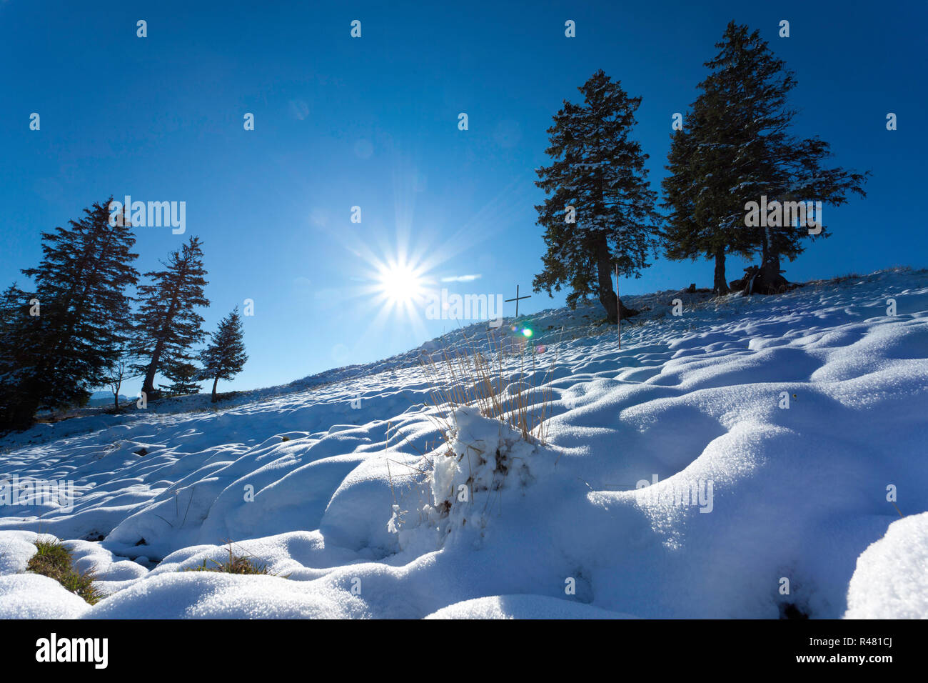 Autunno in Svizzera,Alpi nella nebbia con sun sdurchbrechender Foto Stock