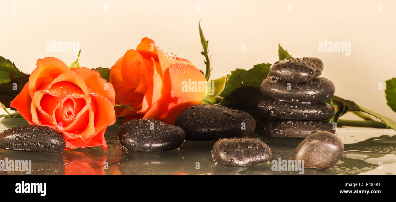 Fiori con pietre di colore nero Foto Stock