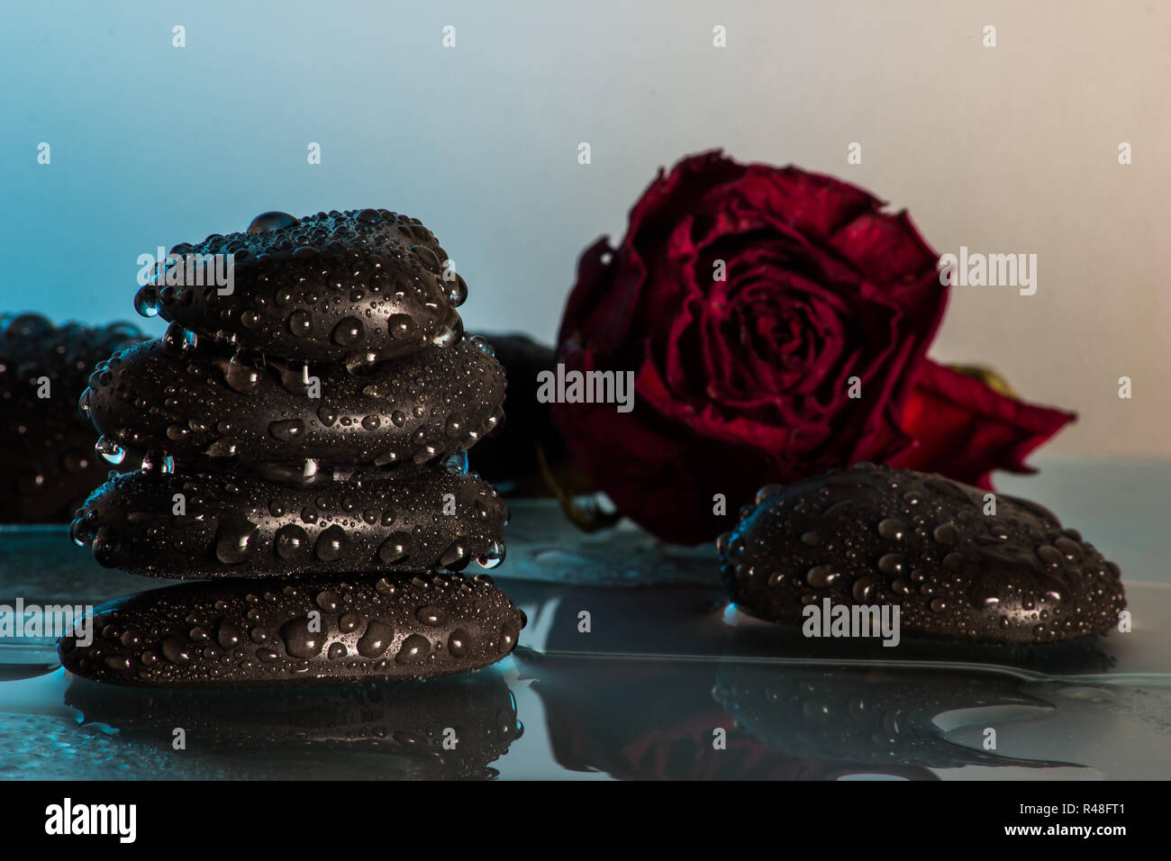 Fiori con pietre di colore nero Foto Stock