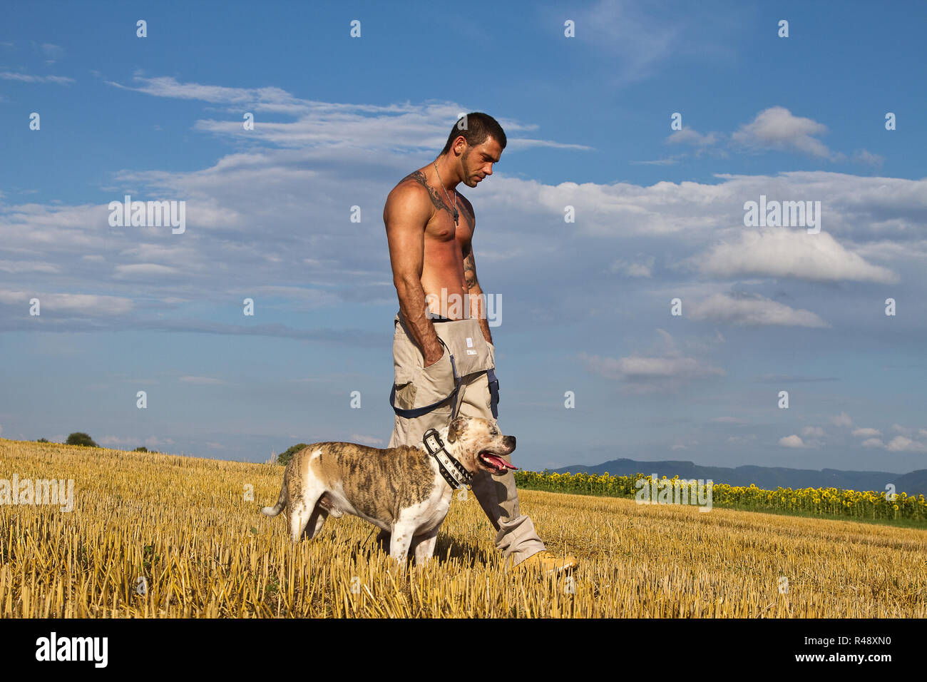 Dog Whisperer Foto Stock