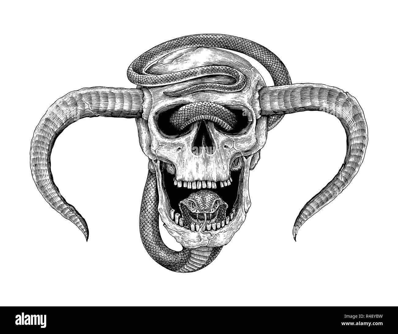Serpente con teschio umano del disegno a mano vintage illustrazione  incisione per tatuaggio Immagine e Vettoriale - Alamy