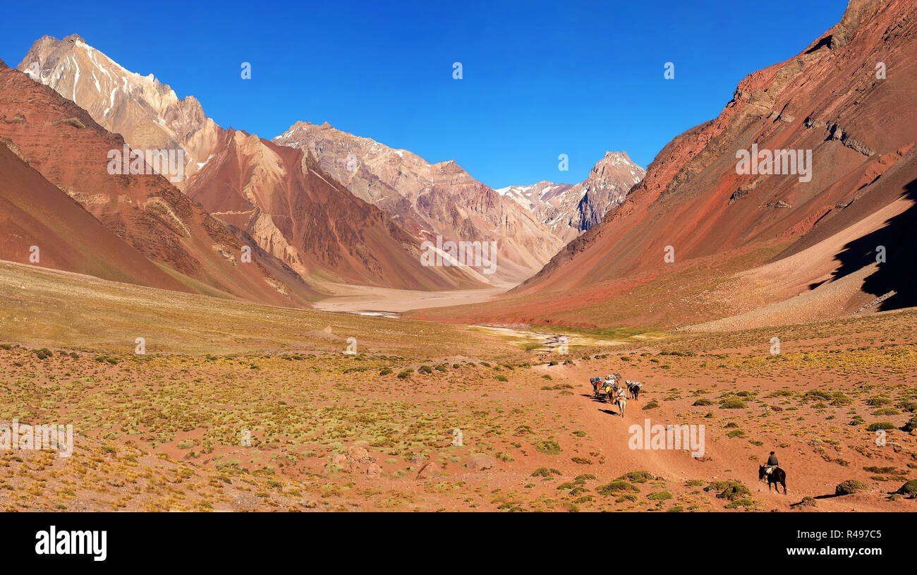 Vista panoramica della valle di montagna nelle Ande con gli escursionisti trekking, Argentina, Sud America Foto Stock