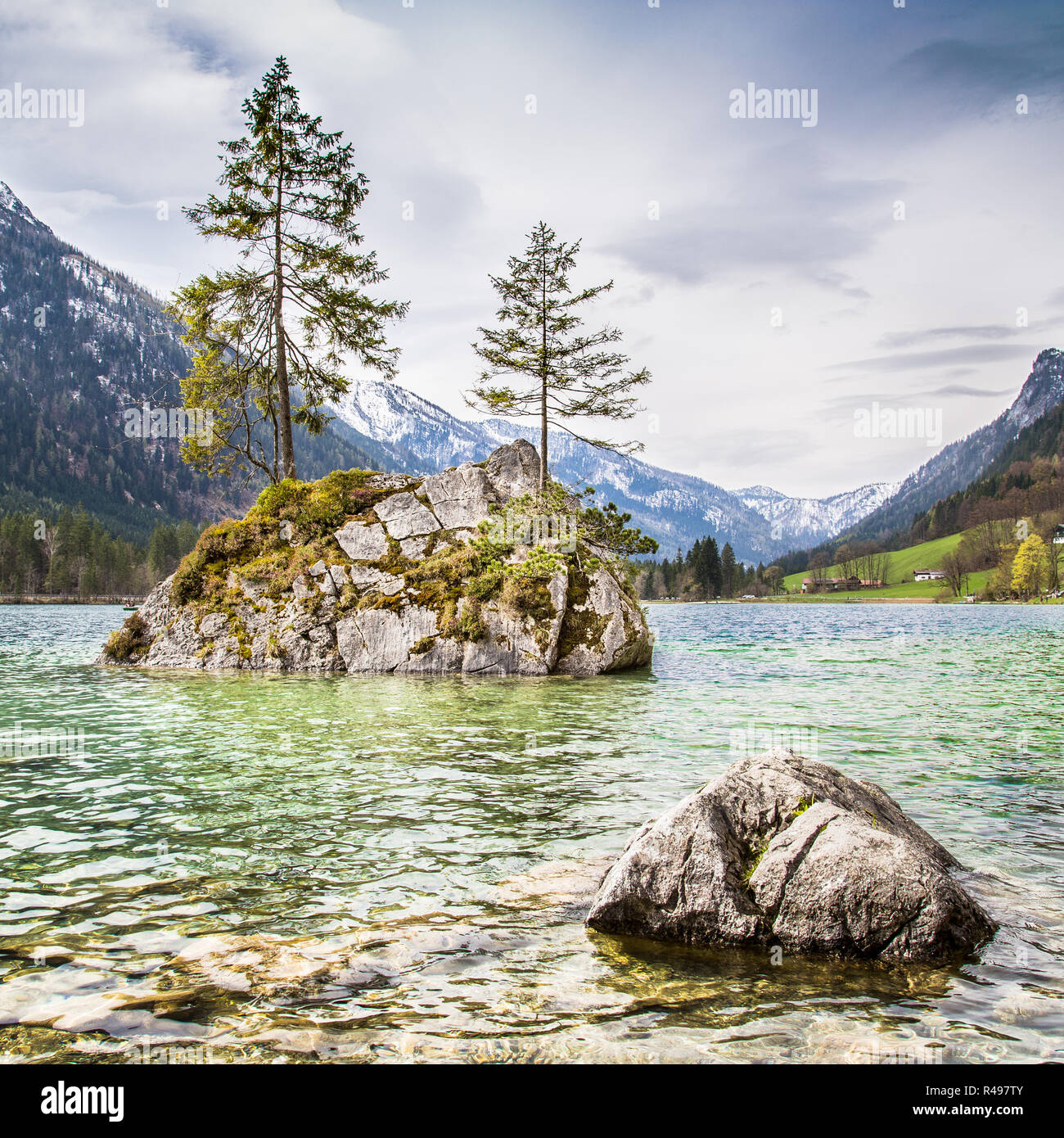 Paesaggio idilliaco con alberi su una roccia al lago Hintersee, Nationalpark Berchtesgadener Land di Baviera, Germania Foto Stock