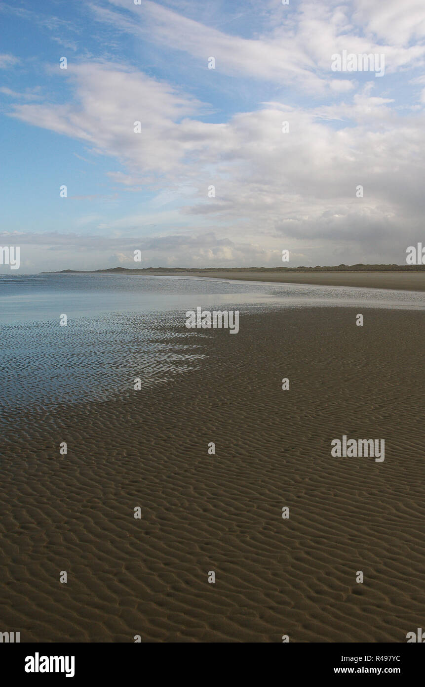 Sandbank a bassa marea sull isola di Borkum Foto Stock