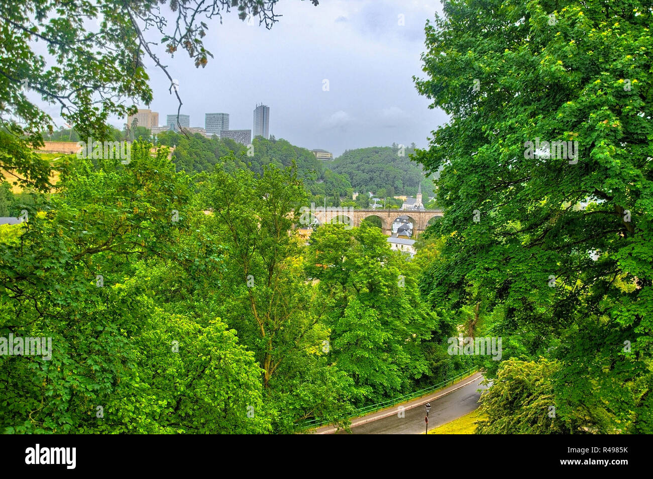 Alberi verdi e ponte in Lussemburgo, Benelux, HDR Foto Stock
