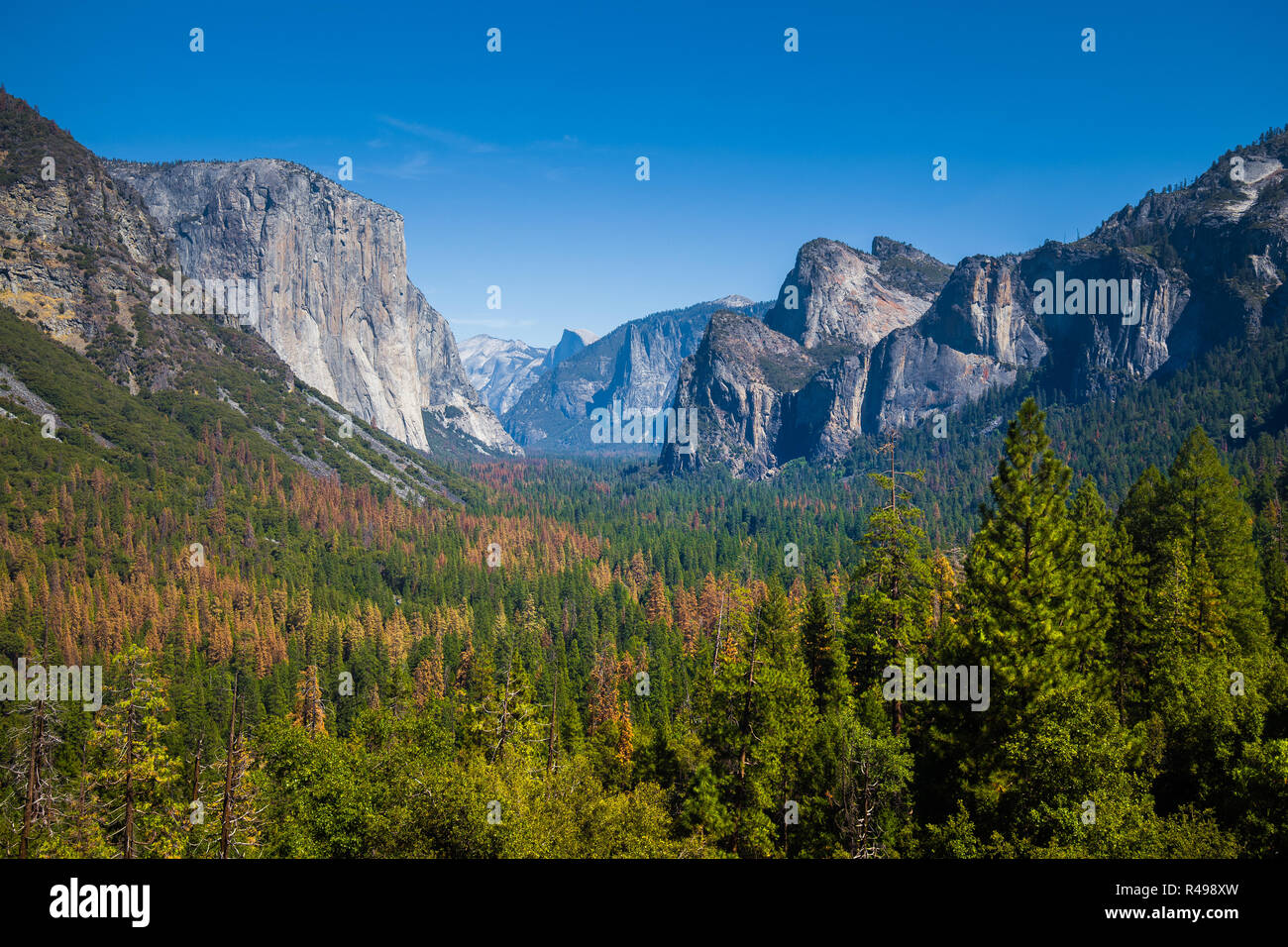 Classic vista di tunnel di scenic Yosemite Valley con il famoso El Capitan e Half Dome rock climbing vertici su una bella giornata di sole con cielo blu e cl Foto Stock