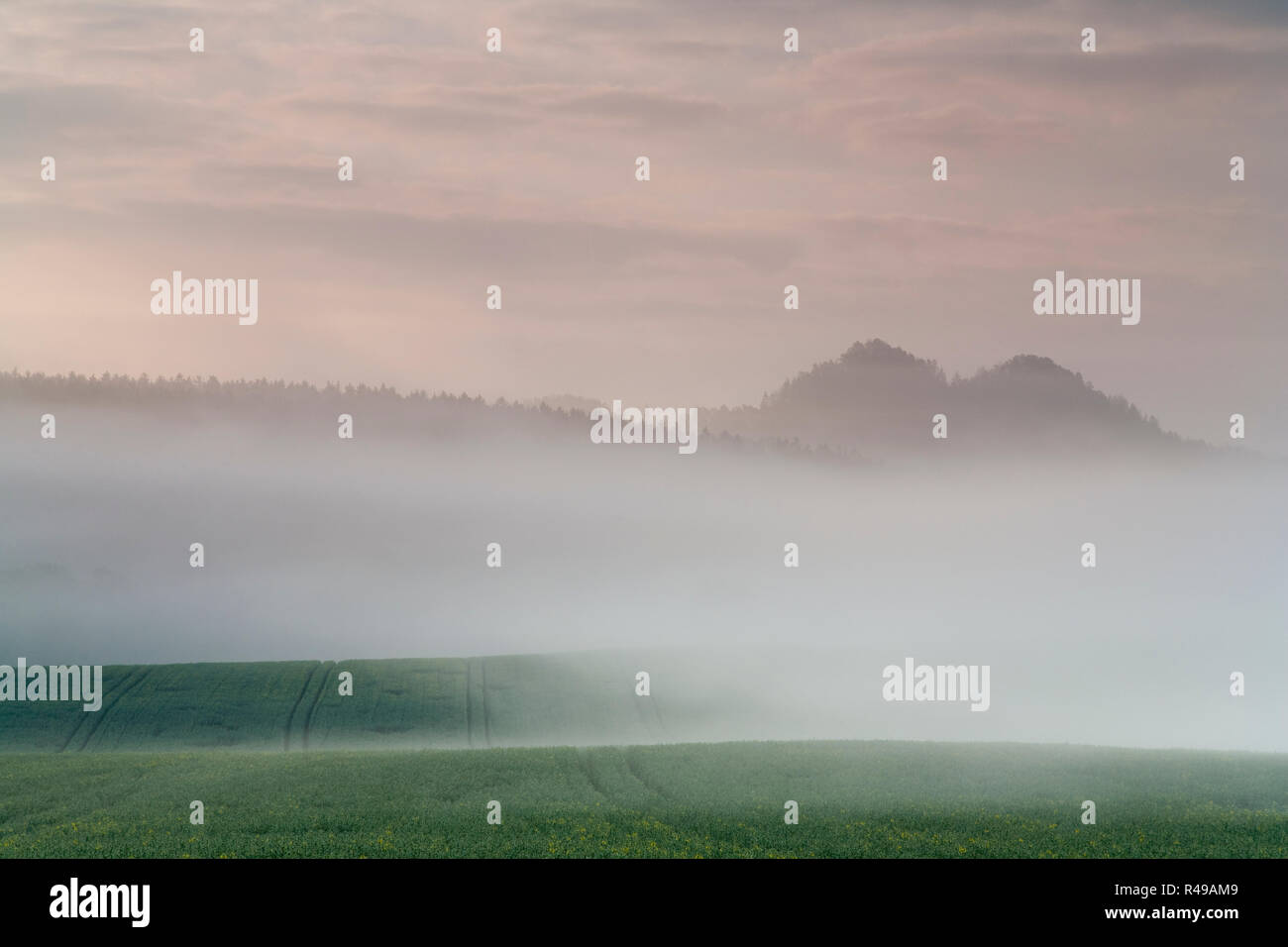 Sunrise nella nebbia sul campo,prati e boschi in primavera,la nebbia e la rottura sun Foto Stock