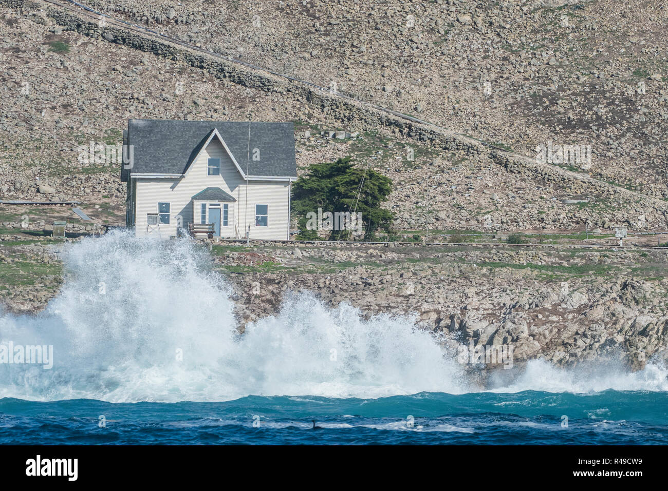 L'unico edificio sul Farallon isole sono queste piccole case bianche dove gli scienziati in visita a dormire. Foto Stock