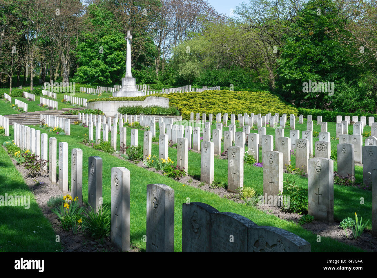 Guerra britannico grave, vista di lapidi di soldati britannici che hanno combattuto in due guerre mondiali nel cimitero di guarnigione a Poznan (Posen), Polonia Foto Stock